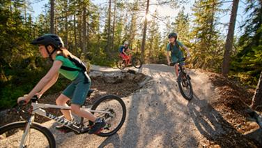 Image for: 1 day Södra Berget Bike Arena