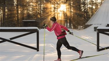Image for: Södra Berget cross country skiing